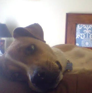 Meet your Posher, Nicholas